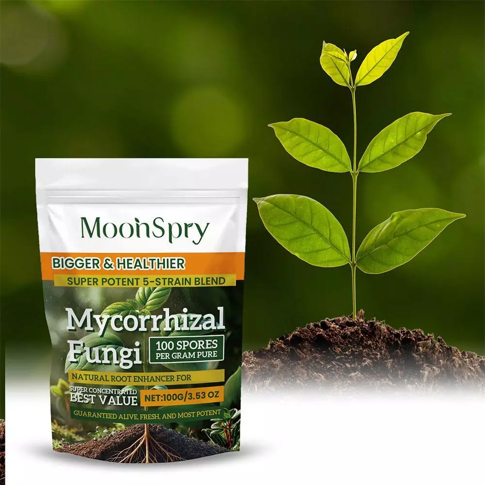 what is mycorrhizal fungi